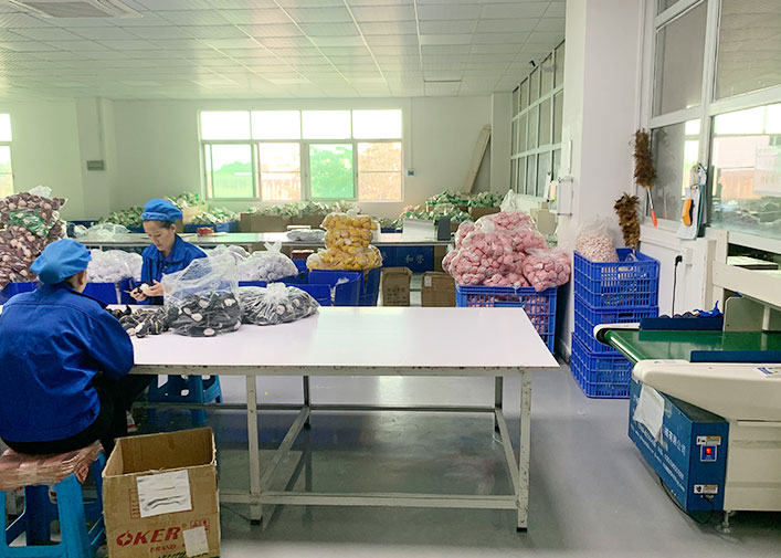 12(2) Packing(包装).jpg